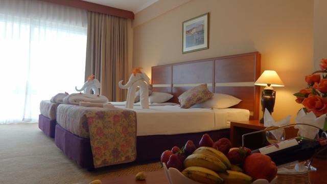 Timo Resort Hotel Konaklı Εξωτερικό φωτογραφία